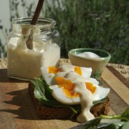 Home made mayonnaise in minutes!