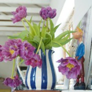 Images of yesterday…