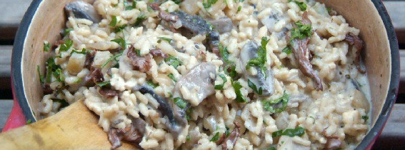 Quick dinner for friends