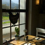 Destination pizza… Massimo’s Pizza Club