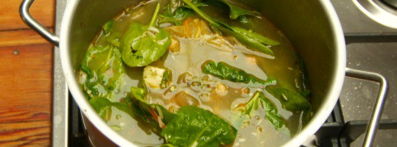 The things you find in other peoples kitchens!