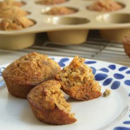 Super squishy low GI muffins