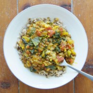 Spinach, lentil and coconut milk curry