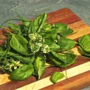 Herb oil